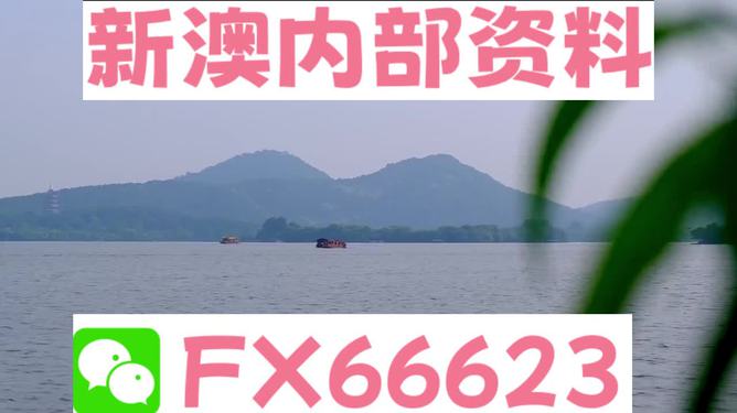 2024新澳资料大全最新版本亮点|精选资料解析大全