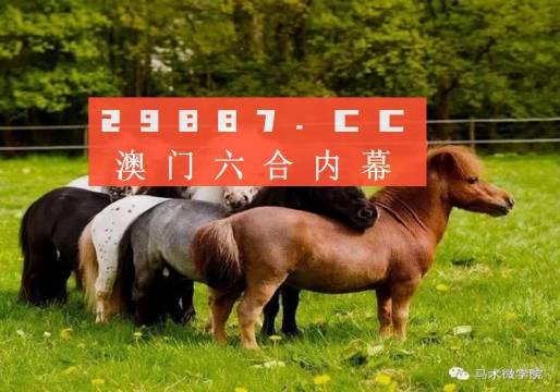 资讯 第319页