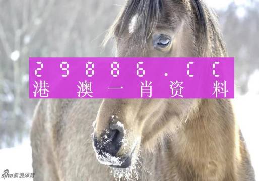 资讯 第311页