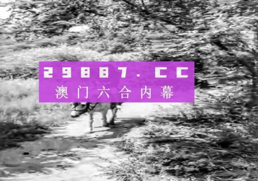 494949最快开奖结果奥门|精选资料解析大全