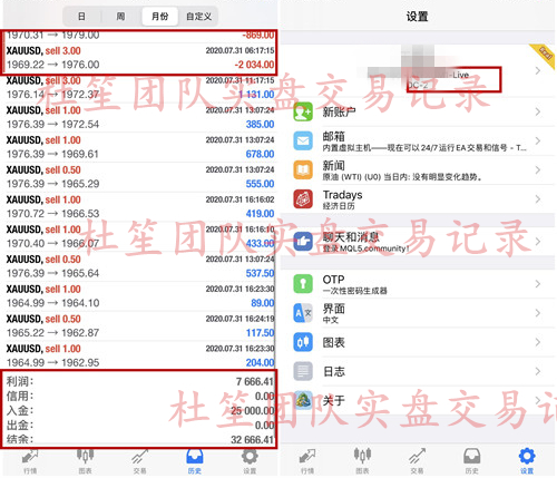 2024新奥资料免费精准071|精选资料解析大全