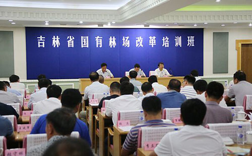 吉林省国有林区改革最新消息