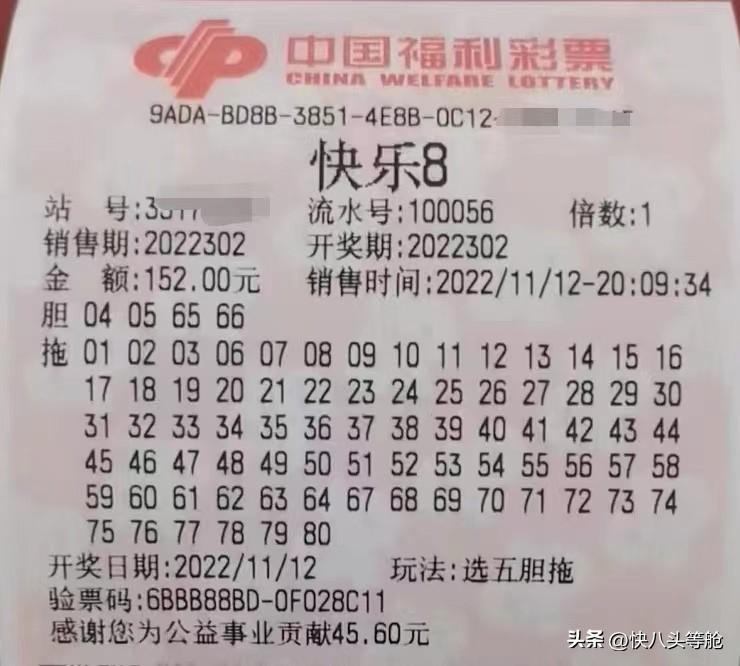 2023澳门六开彩开奖结果数字彩追号,澳门六开彩数字彩追号，探索2023年开奖结果的世界