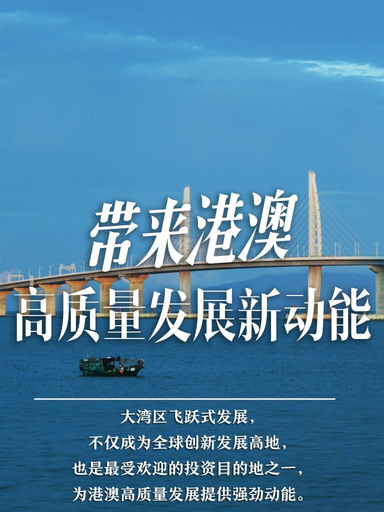 2025新澳门免费长期资料,探索澳门未来，2025新澳门免费长期资料解析