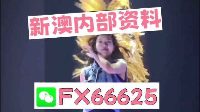 新澳门内部一码精准公开,新澳门内部一码精准公开，探索与揭秘
