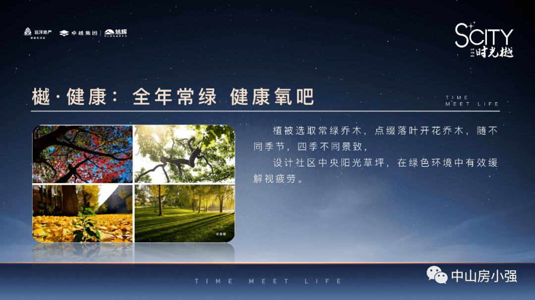 新澳2025最新资料大全,新澳2025最新资料大全，深度解析与前瞻展望