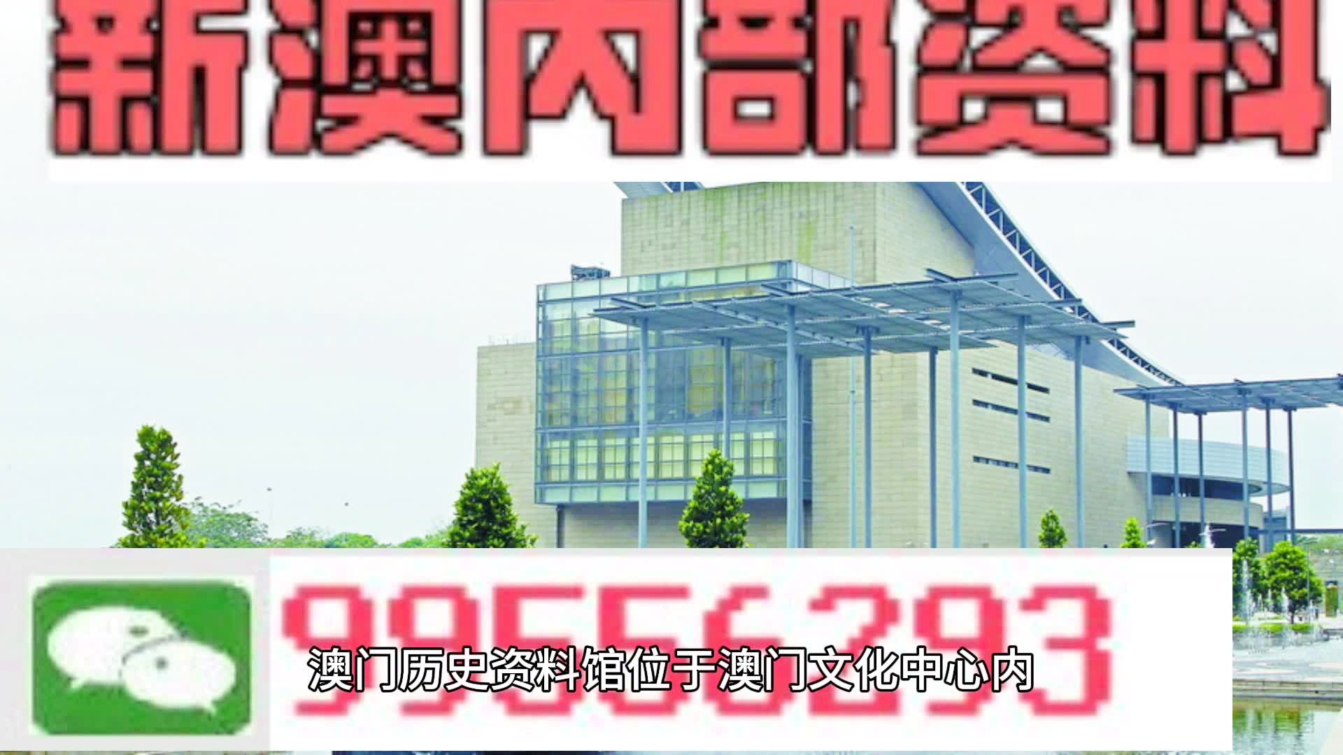 新澳门一肖中100%期期准,新澳门一肖中100%期期准的秘密与探索