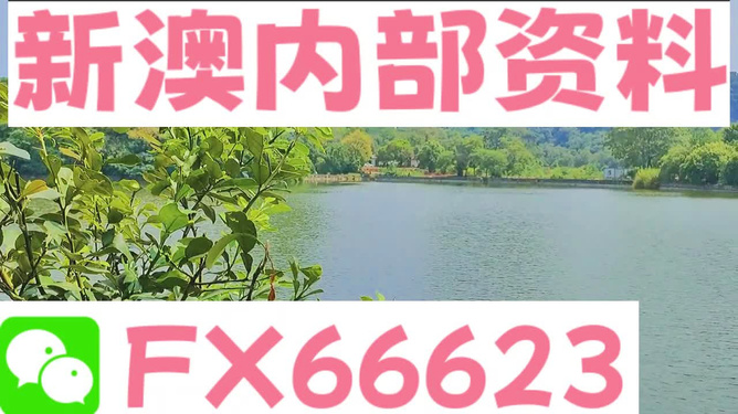 新澳精准资料免费提供网站有哪些,探索新澳精准资料免费提供的网站世界
