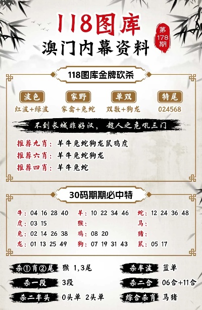 澳门一肖一100精总料,澳门一肖一精准总料，探索与揭秘