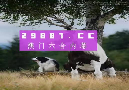 澳门最准四不像正版资料,澳门最准四不像正版资料，揭秘与探索