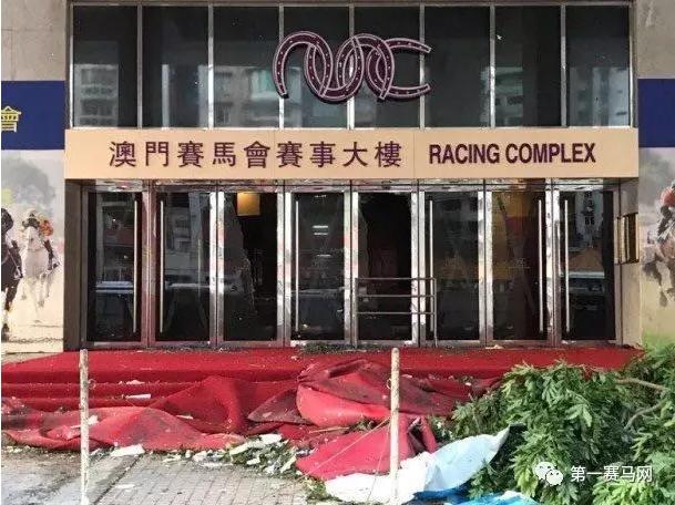 2025年新澳门马会传真资料全库,探索2025年新澳门马会传真资料全库，数据与未来的交汇点