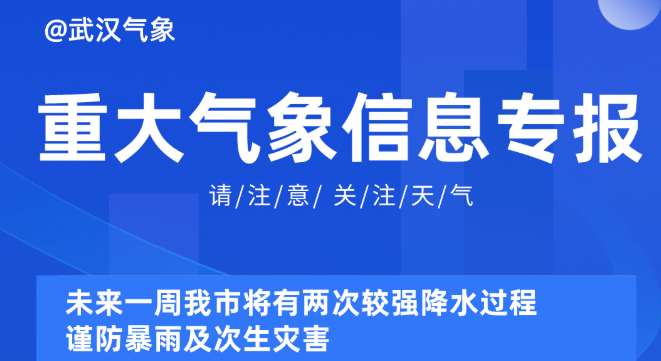 2025年奥门管家婆资料,探索未来，2025年奥门管家婆资料的深度解析