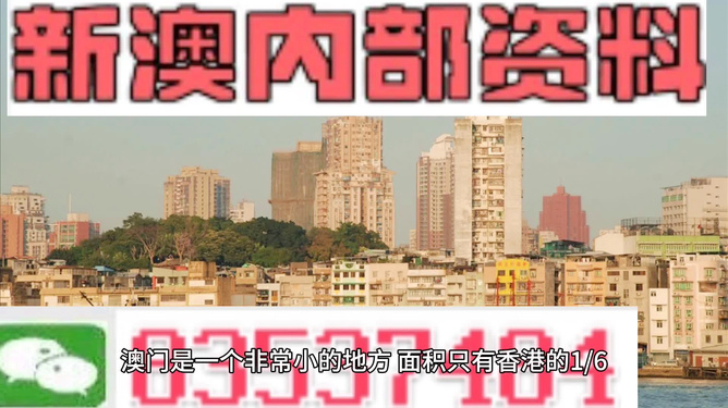 澳门大网站vip资料,澳门大网站VIP资料，探索澳门的多元魅力